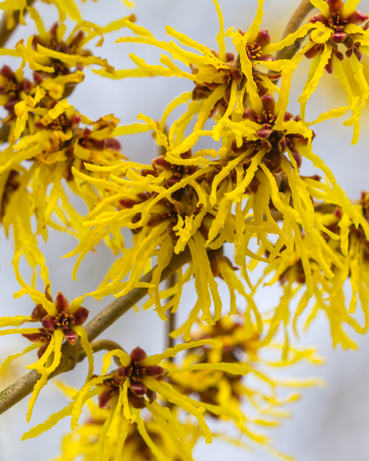 Relax, Restore, Replenish: The Benefits of Magnesium Soaks