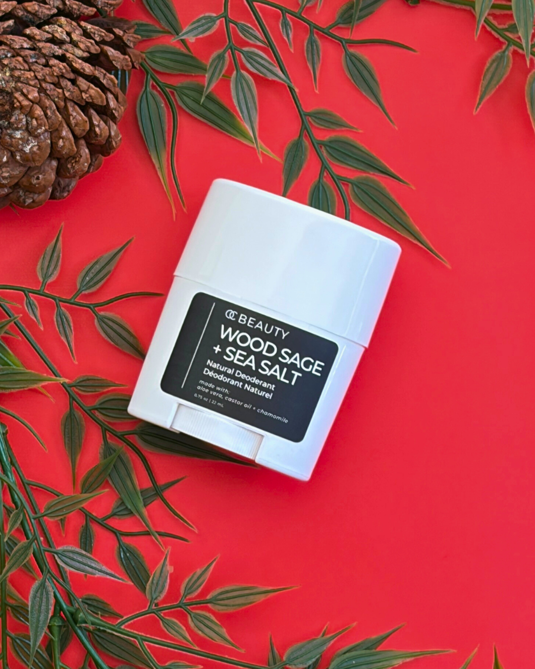 Day 14 of 24 Days of Beauty!