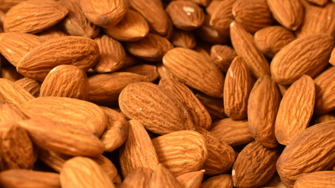 Sweet Almond Carrier Oil