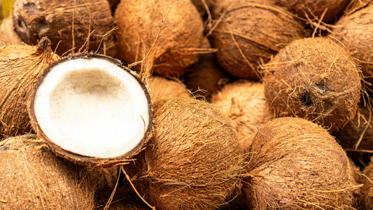Coconut Oil Carrier Oil