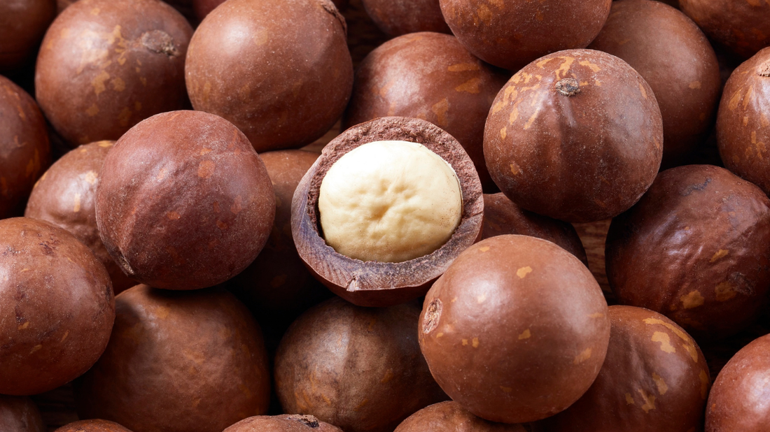 Macadamia Carrier Oil