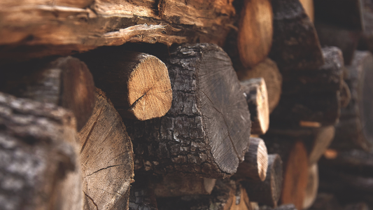 Cedarwood Atlas Essential Oil