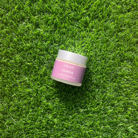 Chaga Moisturizer