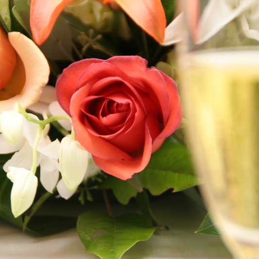 Euphoria Fragrance Oil