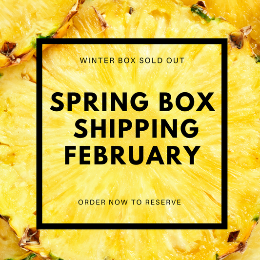 OC Beauty Subscription Box - Spring Edition