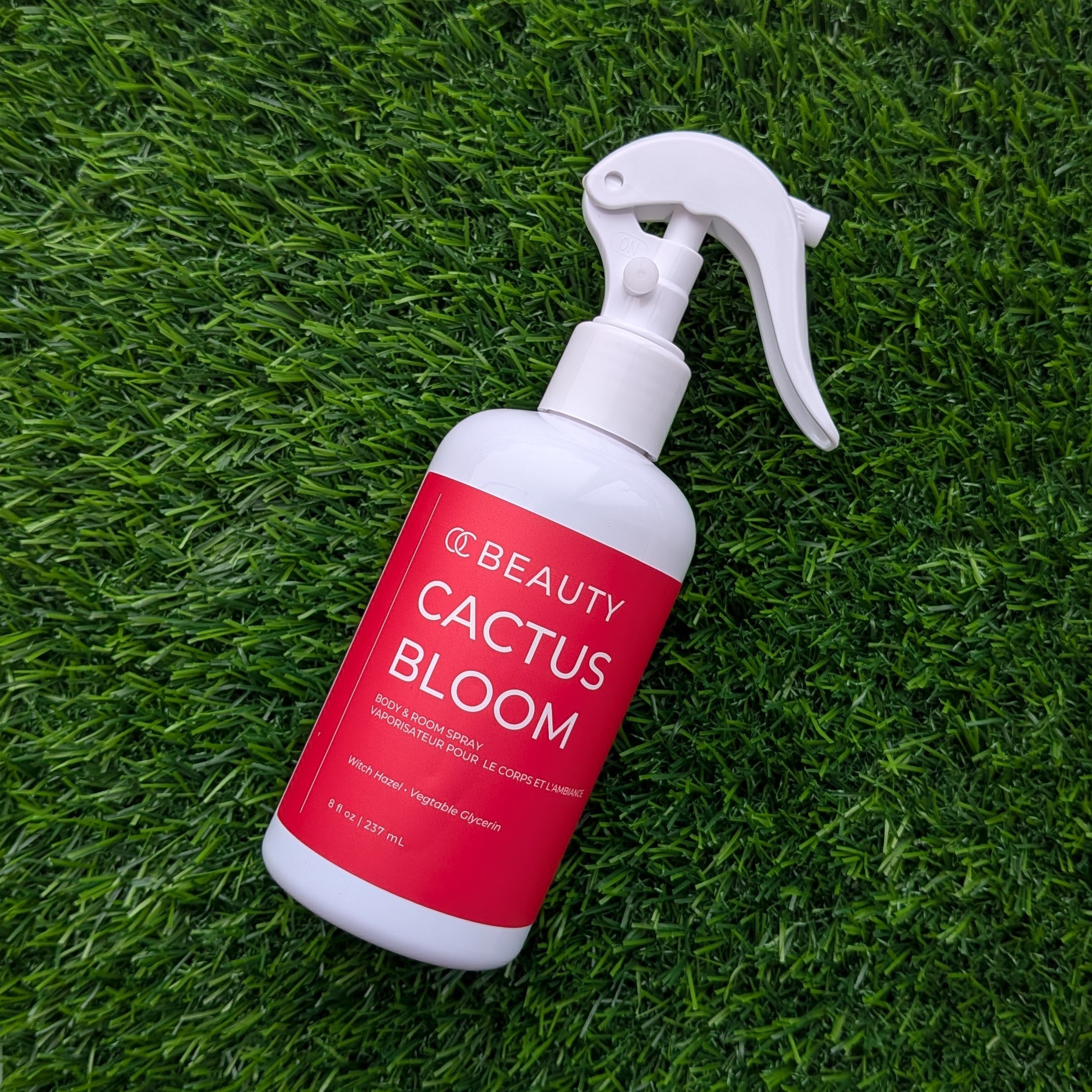 Spray corps et ambiance Cactus Bloom