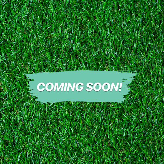 Eucalyptus + Peppermint Natural Deodorant